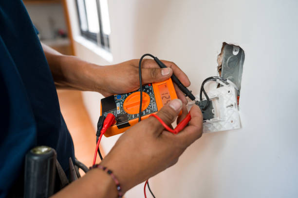 Best Electric Panel Repair  in St Peter, WI