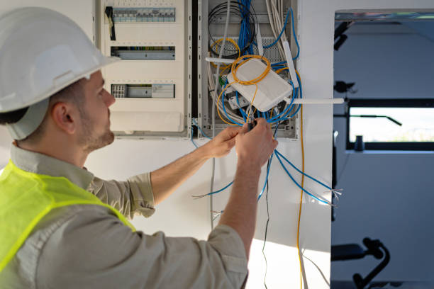 Best Generator Installation Services  in St Peter, WI